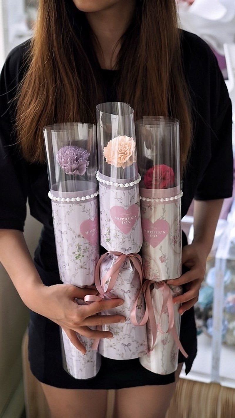 Single carnation mini bouquet dried flower Mother's Day gift bouquet - ช่อดอกไม้แห้ง - พืช/ดอกไม้ 