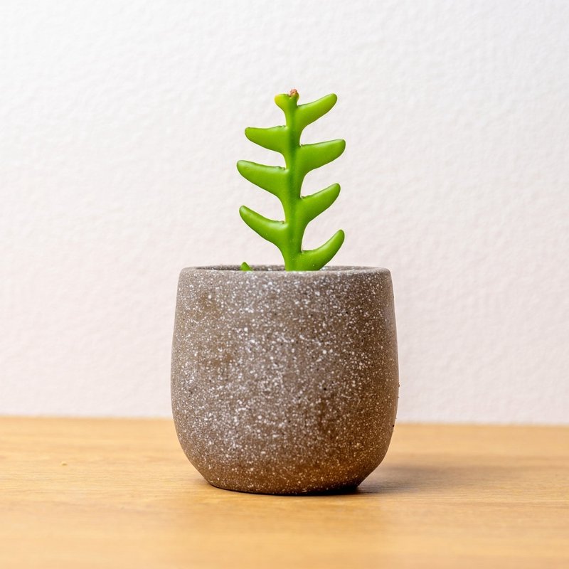 鯊魚劍 桌上型水泥盆栽 觀葉植物 禮物 盆栽 交換禮物 辦公室小物 - 盆栽/植栽 - 植物．花 灰色