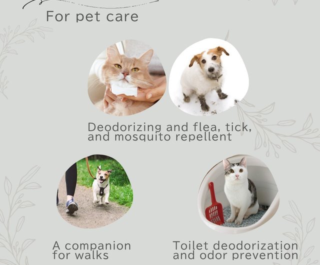 青森ひば サシェ 5個セット デイジー 花 ポプリ 森林浴 除菌 風邪予防