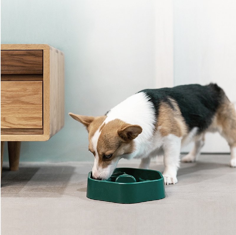 pidan Dog Bowl - Pet Bowls - Plastic Green