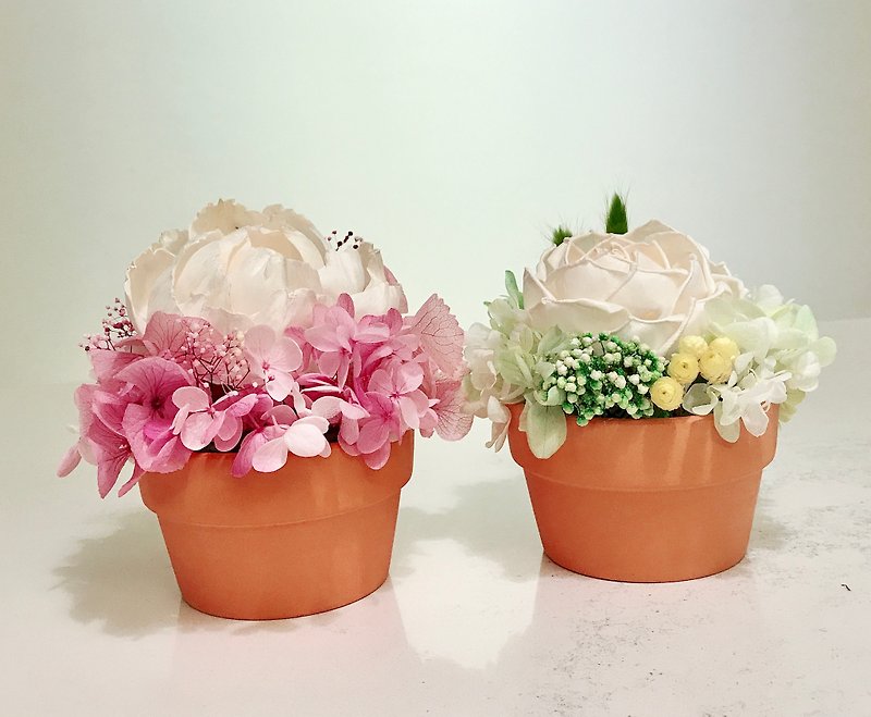 Eternal Flowers/Without Flowering Pots - Rice White Spread Flowers - Mother's Day Gift - ตกแต่งต้นไม้ - พืช/ดอกไม้ ขาว