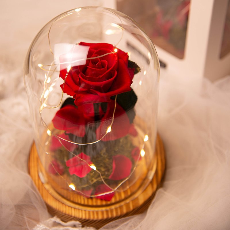 【唯一】美女與野獸 永生花紅玫瑰 玻璃罩 夜燈 /情人節 生日紀念 - 燈具/燈飾 - 植物．花 紅色