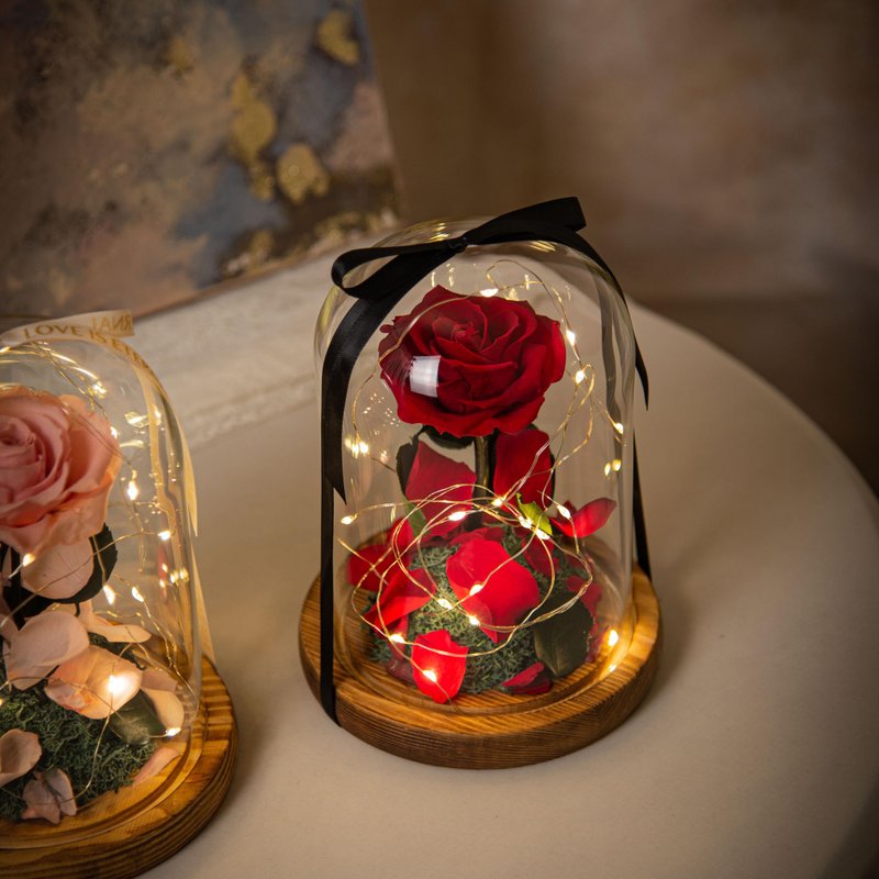 【唯一】美女與野獸 永生花紅玫瑰 玻璃罩 夜燈 /情人節 生日紀念 - 燈具/燈飾 - 植物．花 多色