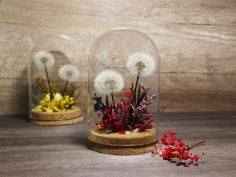 Dreaming End of the World Dandelion Immortal Flower-Sweet Berry Red - Items for Display - Plants & Flowers White
