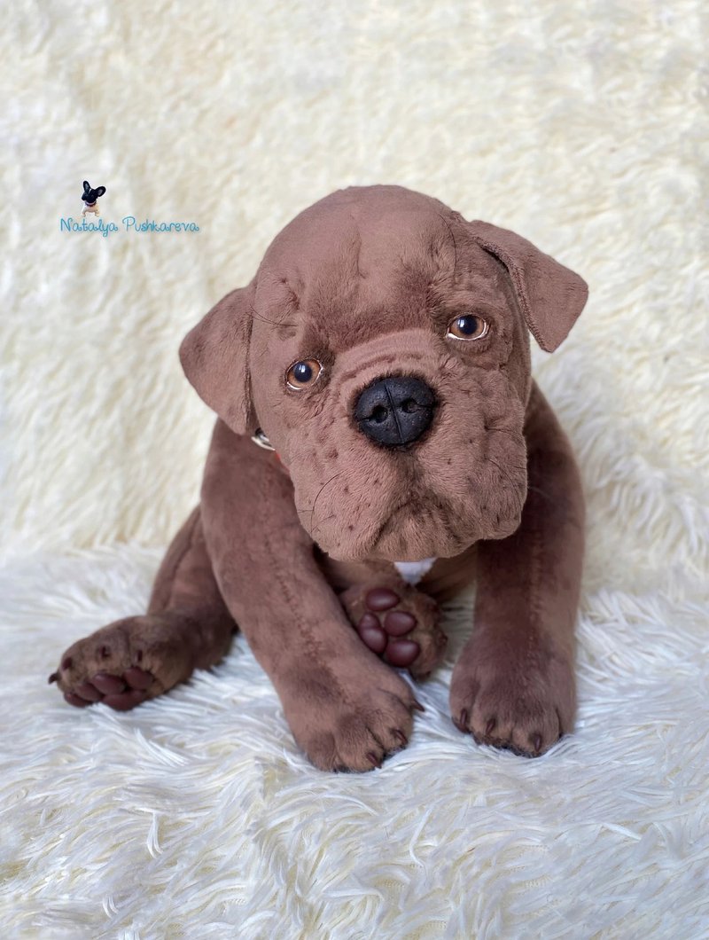 Brown Cane Corso 狗逼真的毛绒玩具 - 公仔/玩偶 - 聚酯纖維 咖啡色