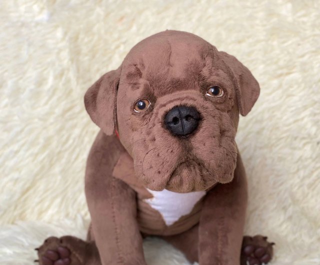 Cane corso plush sale toy