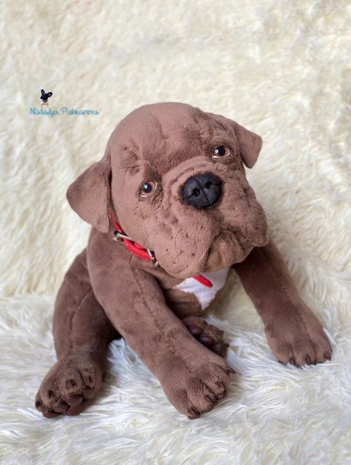 italian mastiff stuffed animal