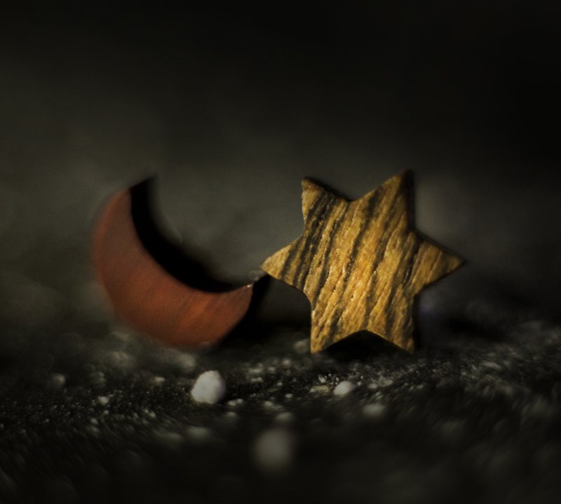 【Hylé Design】 ORB-it wood earrings (galactic geometry, random wood color) - ต่างหู - ไม้ 