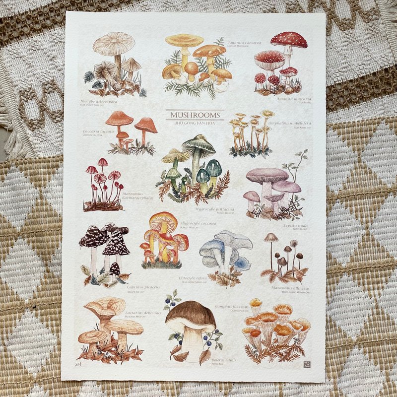 雨季的蕈類圖鑑 A3複製畫 - 其他 - 紙 