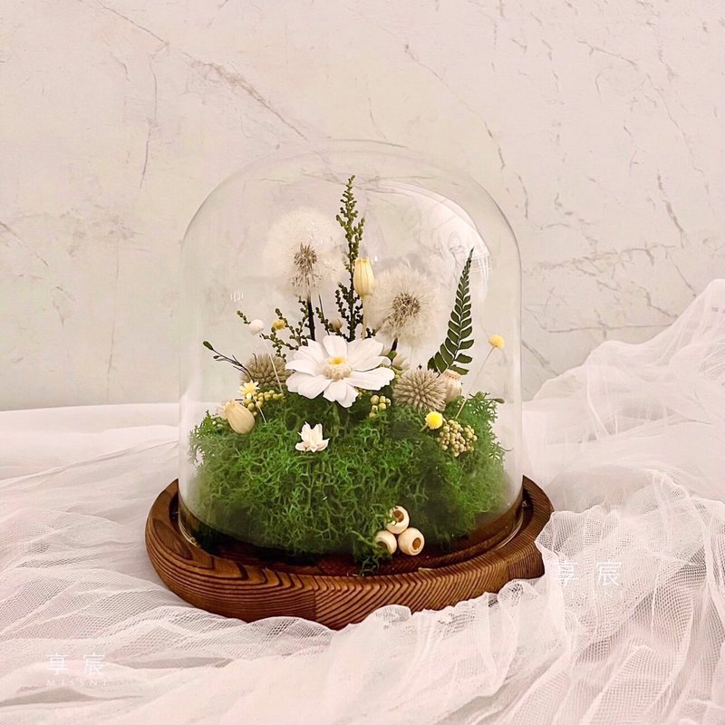 [Preferred gift] Dandelion X Zinnia / Fresh Prairie Bell Jar [Large Size] - ของวางตกแต่ง - พืช/ดอกไม้ 