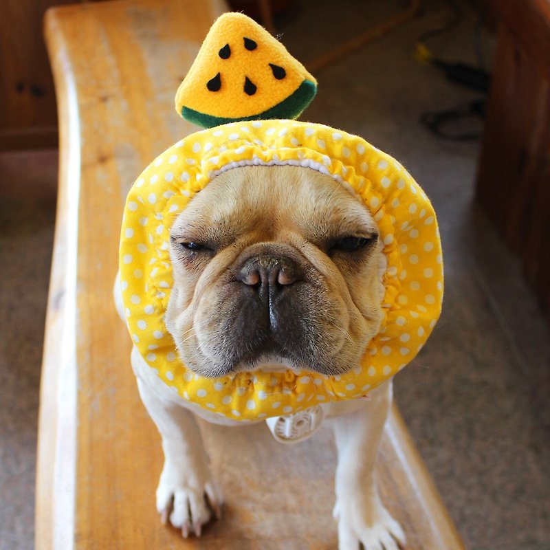 Chilled dog Zura * Yellow- * Yellow watermelon - ชุดสัตว์เลี้ยง - ขนแกะ สีเหลือง