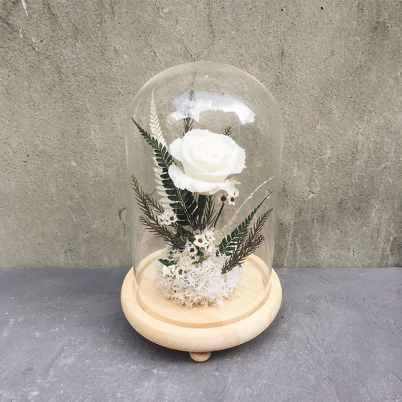 永生白玫瑰微景玻璃罩 - 植栽/盆栽 - 植物．花 白色