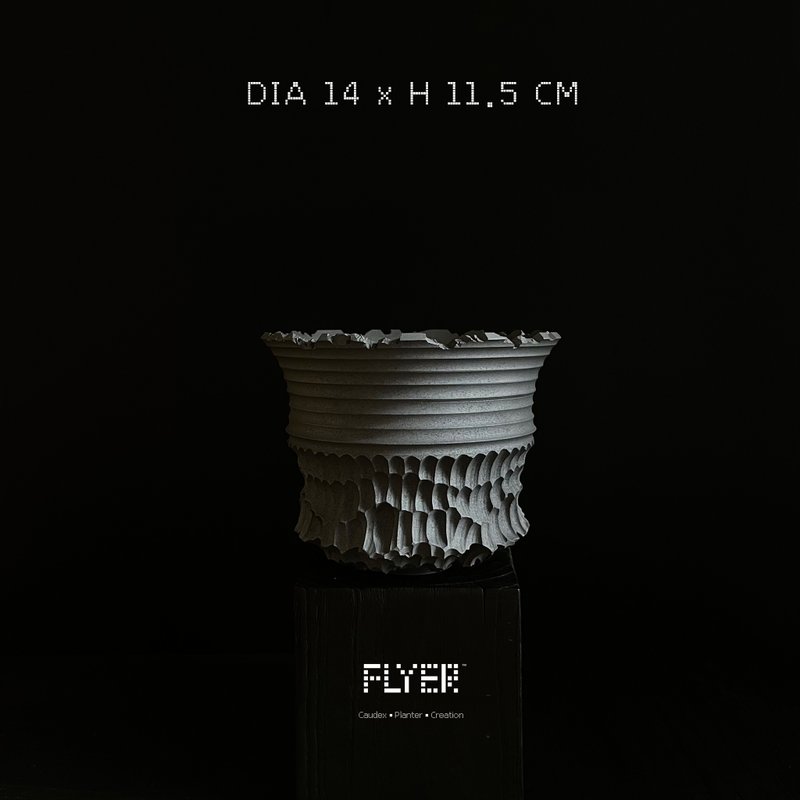 FLYER 塊根多肉植物陶盆器 龍舌蘭象牙宮象足漆樹盆器 - 花瓶/花器 - 陶 