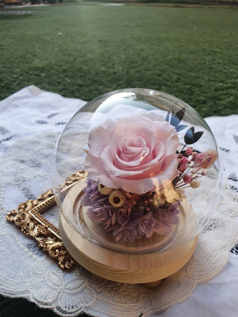 Immortal Canon Rose Love Pink Ball Glowing Glass Cover - Dried Flowers & Bouquets - Plants & Flowers 