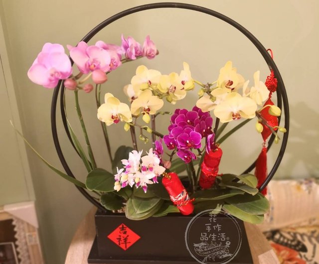 Workshop(s)】Orchid combination potting course - Shop flowerlifestyle Plants  u0026 Floral Arrangement - Pinkoi