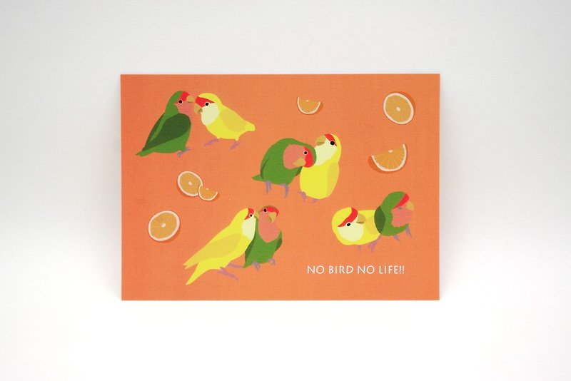インコ ポストカード(ラブラブオランジーナ) - カード・はがき - 紙 オレンジ