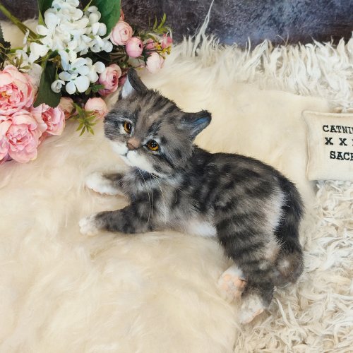 子猫 リアルで美しい小さなぬいぐるみ アートドール - ショップ