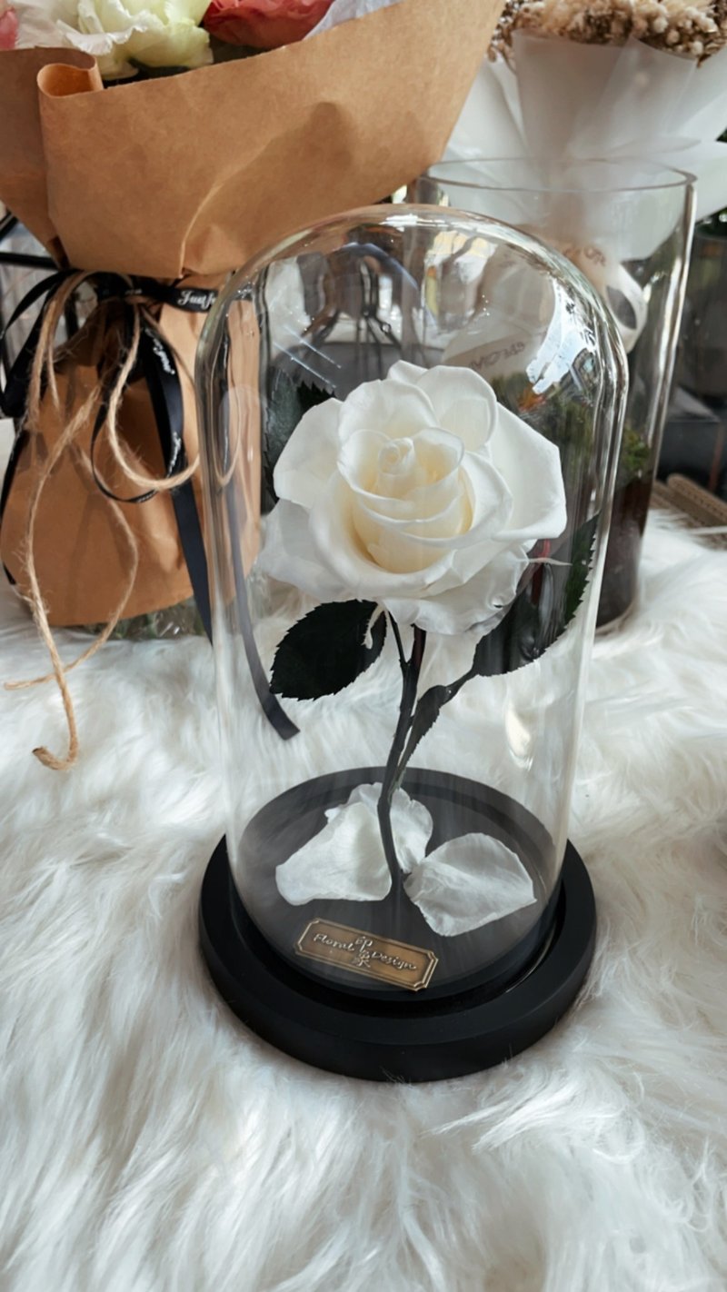 Valentine's Day Flower Gift/Beauty and the Beast Immortal Flower-Classic Invincible Rose Pure White S - Dried Flowers & Bouquets - Plants & Flowers White