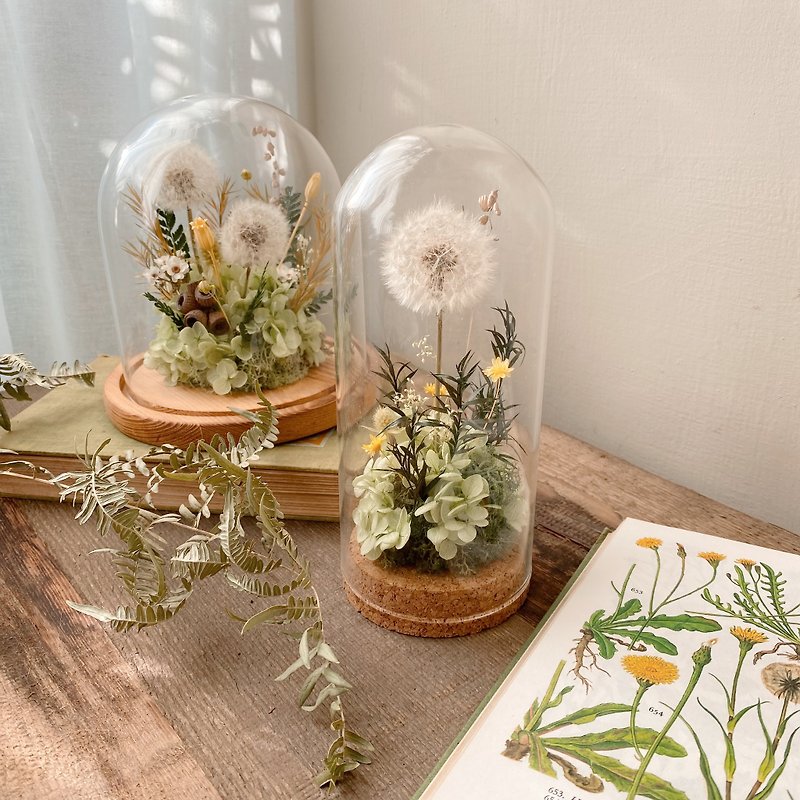 dandelion immortal flower dandelion specimen glass cup - ช่อดอกไม้แห้ง - พืช/ดอกไม้ สีเขียว