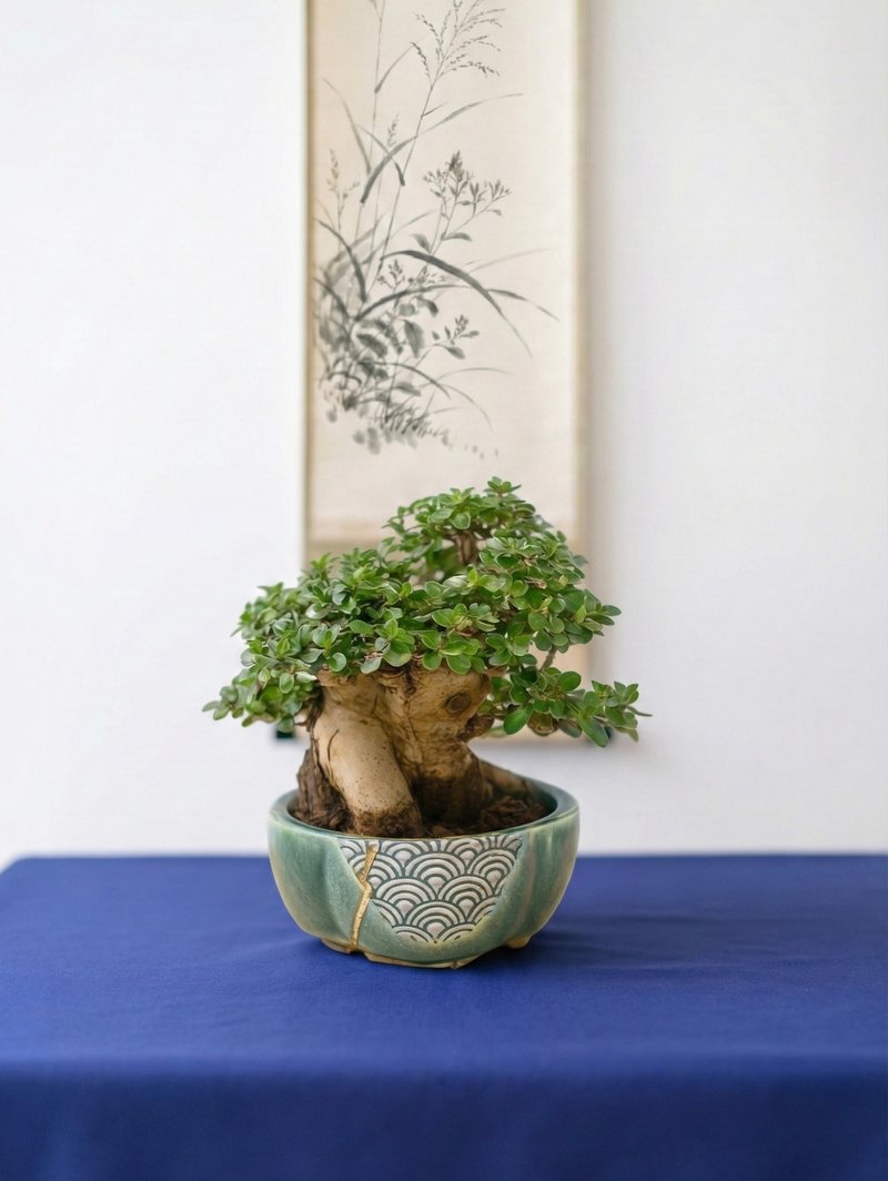 小品盆栽・米葉壽娘子 - 盆栽/植栽 - 植物．花 