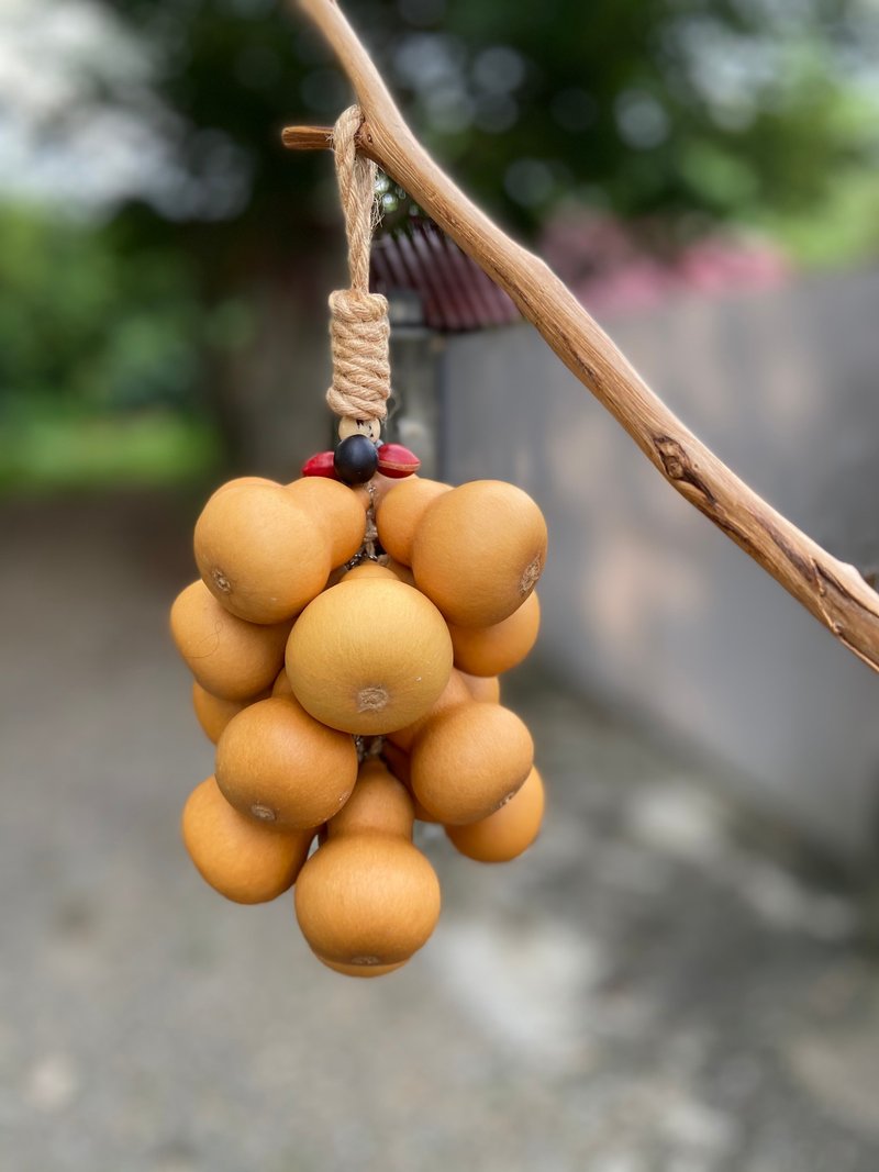 Natural gourd hanging ornament/5-layer gourd/plant - Items for Display - Plants & Flowers 