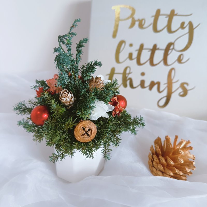 香氛耶誕 小聖誕樹 乾燥花盆 永生盆花 聖誕禮物 交換禮物 花禮 - 香氛/精油/擴香 - 植物．花 綠色