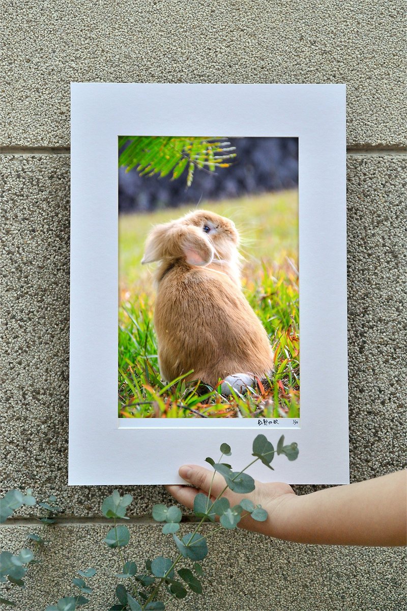 オリジナルの限定版ウサギ写真アート-襄陽 - 置物 - 紙 イエロー