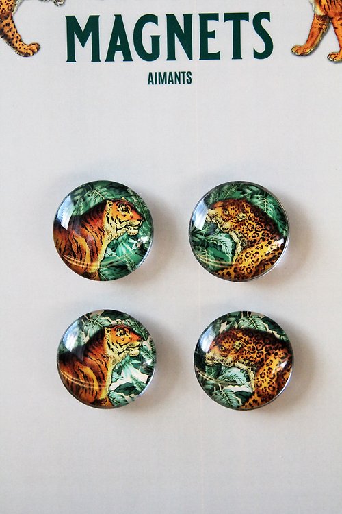 Set of 4 African Animal Magnets