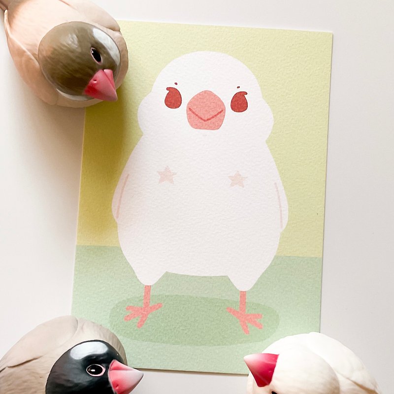 Star chest stickers perverted bird card/postcard - การ์ด/โปสการ์ด - กระดาษ สีเขียว
