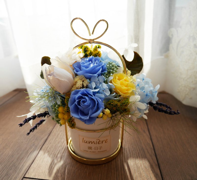 Full free shipping, shop opening gift shop opening table flower shop opening gift table flower gift congratulation flower gift congratulation potted flower opening shop - Dried Flowers & Bouquets - Plants & Flowers Blue