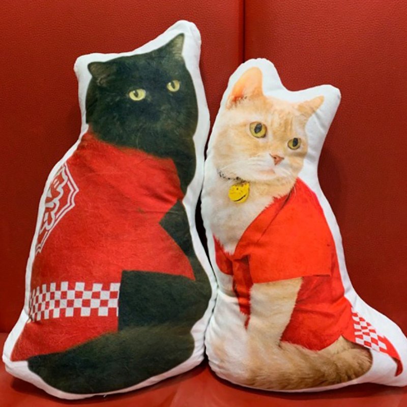 Pet, portrait photo simulation pillow 30-60cm (home delivery)