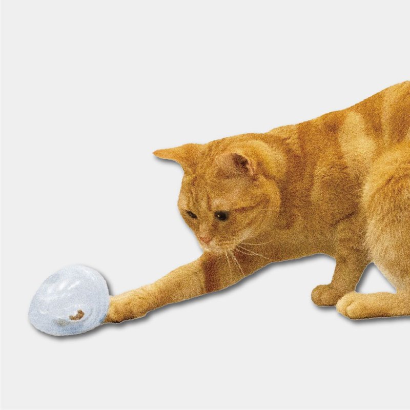 【日本CattyMan】滾來滾去~好好玩!喵星人育智透明玩具蛋 - 貓/狗玩具 - 其他材質 透明
