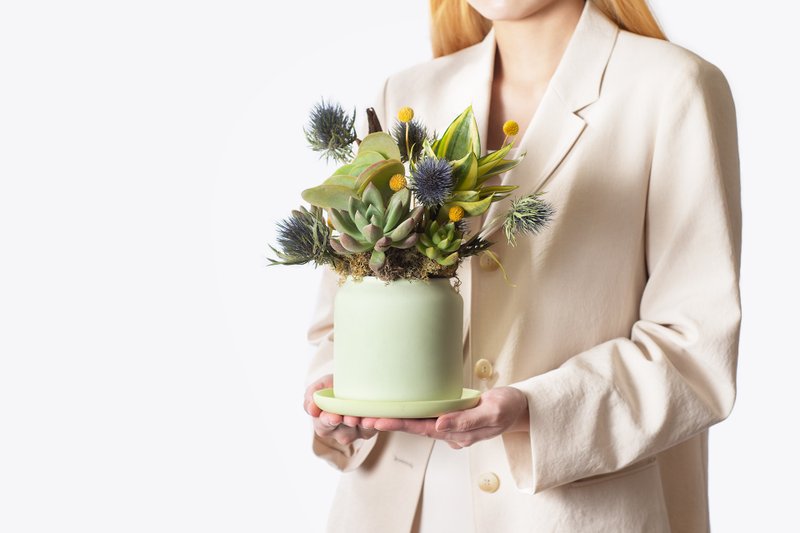 [Delivery by special car] Rejoice - Planting as a gift / Potted plants Taiwan design with meat - ตกแต่งต้นไม้ - พืช/ดอกไม้ 