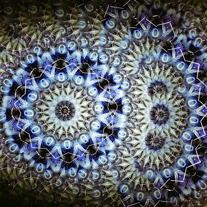 kaleidoscope Grace - ของวางตกแต่ง - แก้ว หลากหลายสี