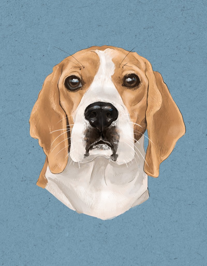 Other Materials Other - Super realistic and detailed Custom Digital Portrait Dog - Personalized dog art