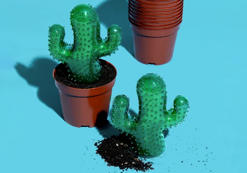 【潔齒仙人掌】陪伴寵物/耐咬解悶玩具 - 貓/狗玩具 - 其他材質 綠色