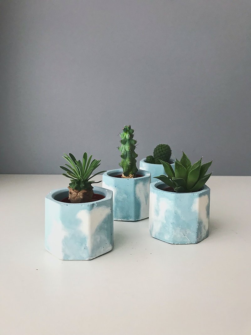 Alice-blue dyed Cement pot. Air pineapple pot. Cactus pot succulent pot. Blue - Plants - Cement Blue