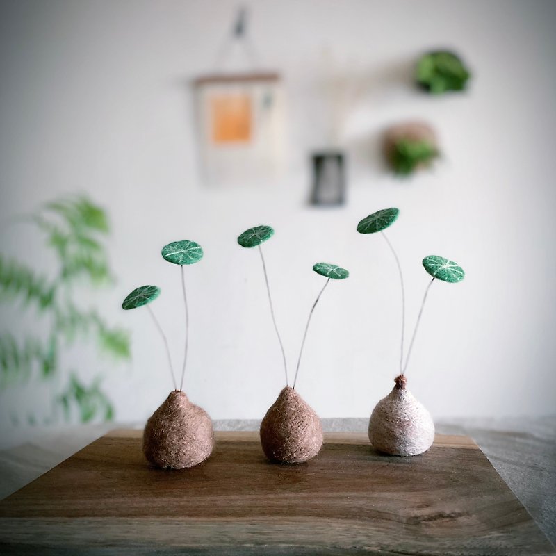 Needle Felted Plant - Items for Display - Wool Green