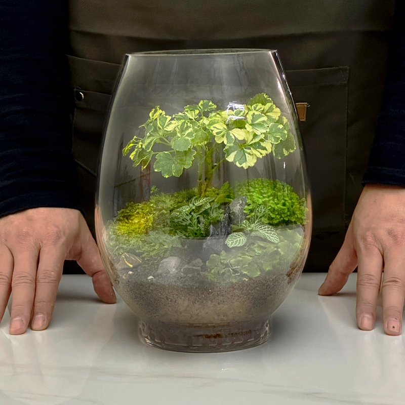 新品上市 守拙之樹 / 客製化造景生態盆微景觀 - 植栽/盆栽 - 植物．花 