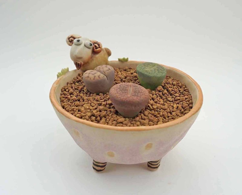 Plant pot with a goat ,lithops,cactus,ceramics,pottery,handmade - 花瓶/陶器 - 陶 多色
