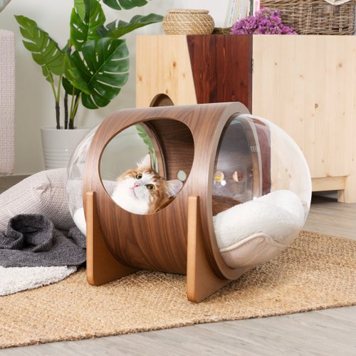 Wooden Cat Bed | Spaceship Alpha (Walnut) | MYZOO