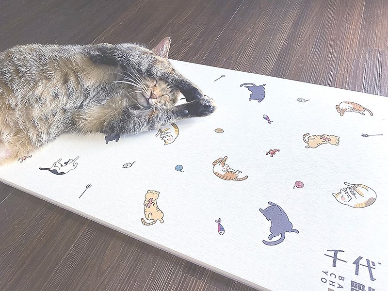 Cat slave diatomite absorbent mats customized mats and mats 60x39cm