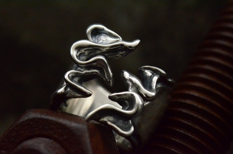 Avage Titanota ring - General Rings - Sterling Silver Silver