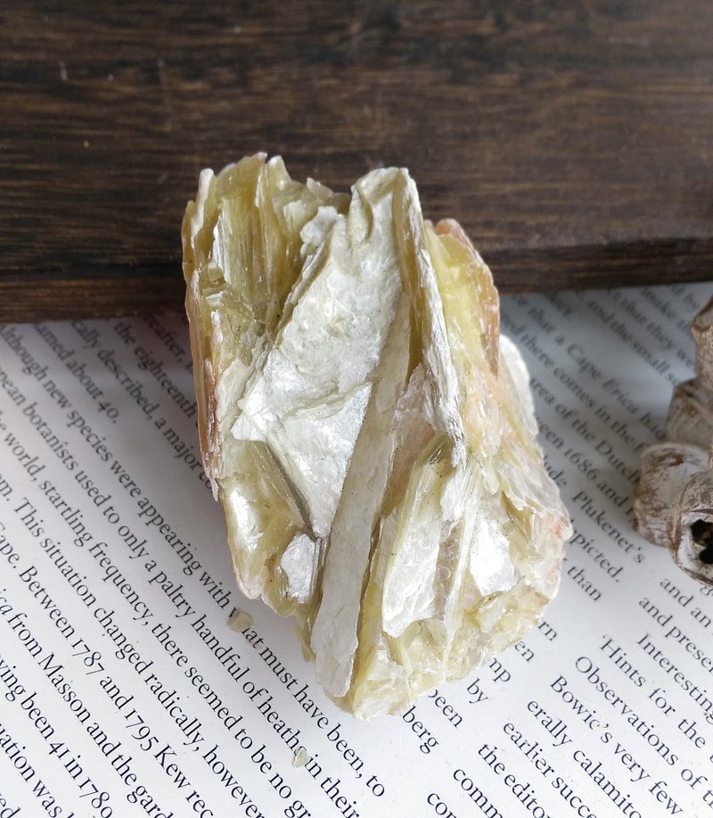Mica 祕魯產地 金雲母 造岩礦物 天然礦石 原礦 - 擺飾/家飾品 - 其他材質 