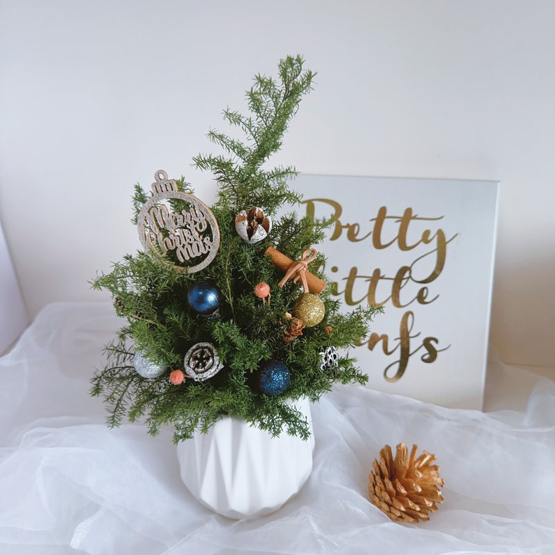 綻藍煙火 小聖誕樹 乾燥花盆 永生盆花 聖誕禮物 交換禮物 花禮 - 乾燥花/永生花 - 植物．花 橘色