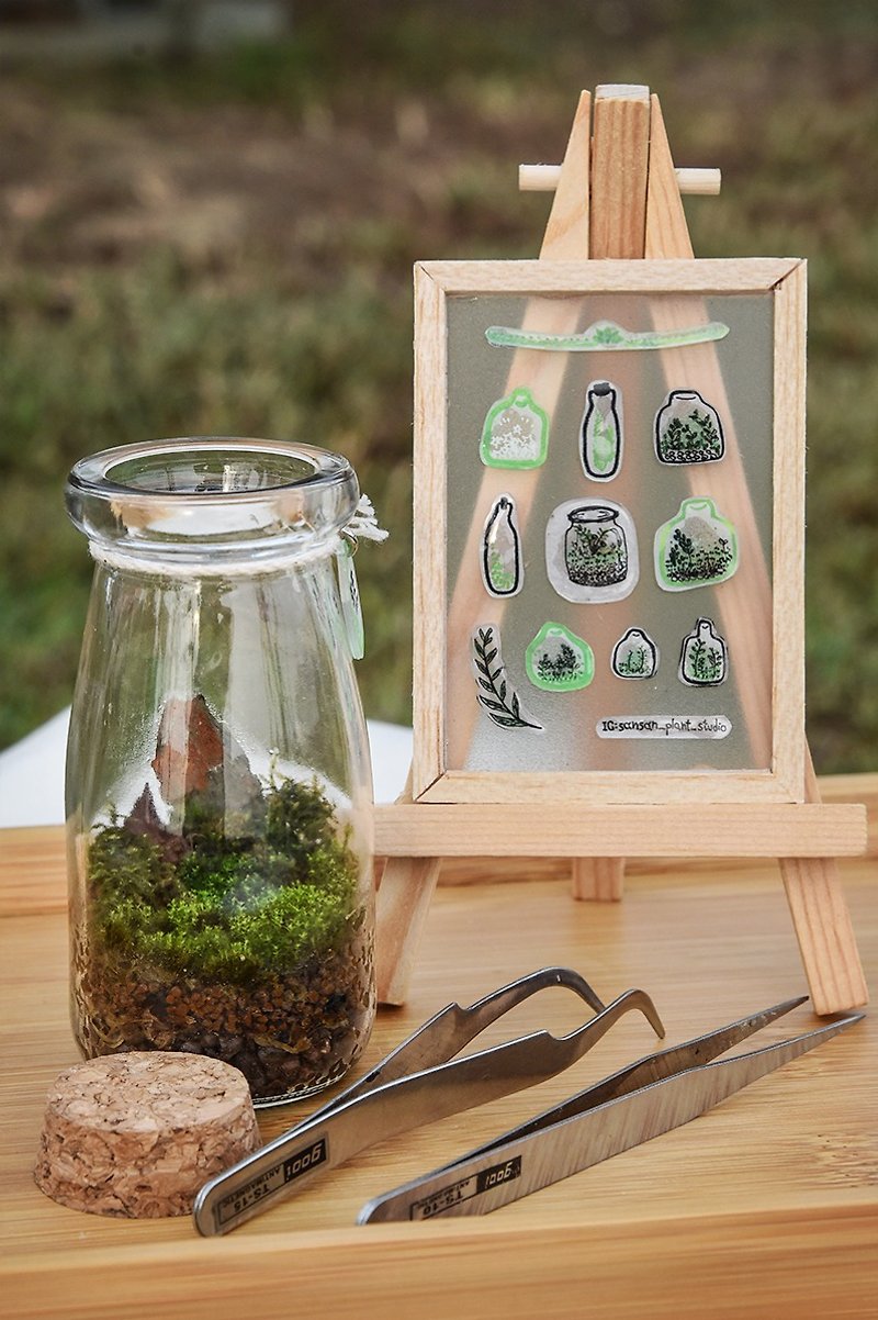Moss Ecological Bottle (Small) DIY Material Pack + Teaching Manual - Plants & Floral Arrangement - Plants & Flowers Green