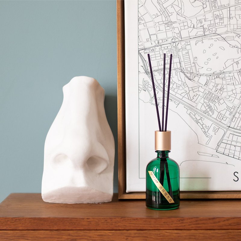 Daily Lab Reed Diffuser No Two No Fire Diffuser (Green Bottle) - Fragrances - Other Materials 