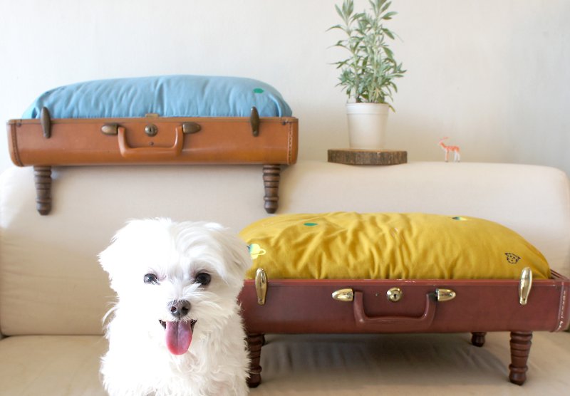 Yester歳の手で荷物ペットベッドのX Yinke変換 - マスタード黄色の星、緑の泡（猫＆小型犬:)） - 寝具 - コットン・麻 