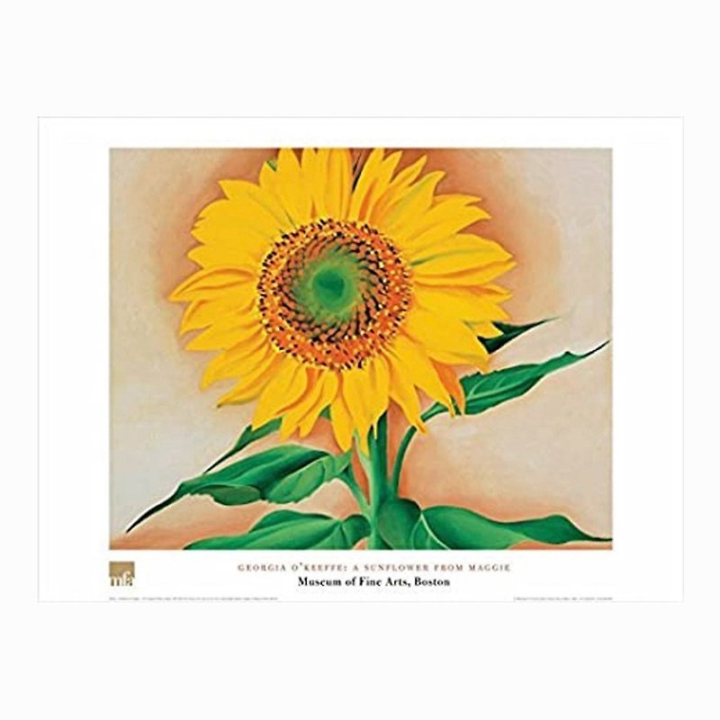 [Original Poster] Georgia O'Keeffe: Maggie's Sunflowers - Posters - Paper 