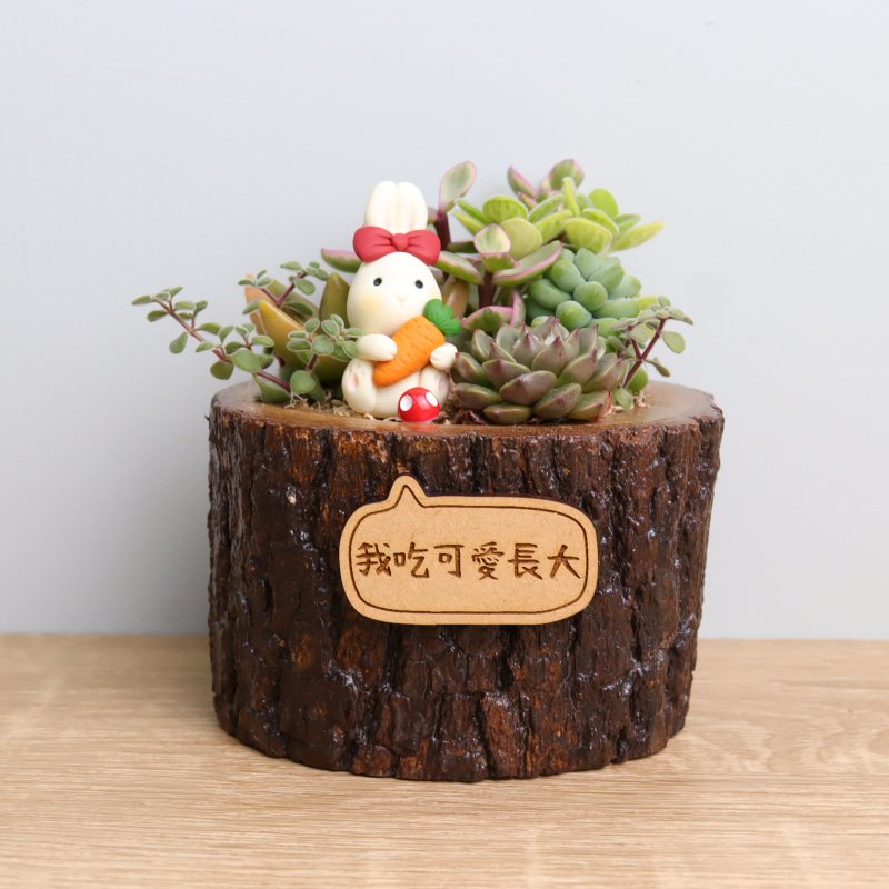 Rabbit Succulent Potted Plant Lettering Signboard Customized Log Wedding Birthday Opening Gift Graduation - ตกแต่งต้นไม้ - ไม้ สีนำ้ตาล